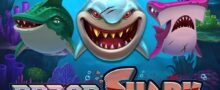 razor shark push gaming